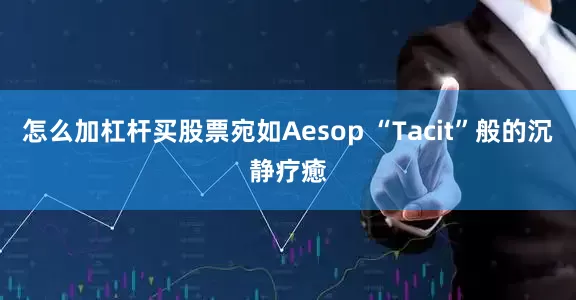 怎么加杠杆买股票宛如Aesop “Tacit”般的沉静疗癒