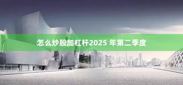 怎么炒股加杠杆2025 年第二季度